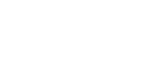 LEVY logo